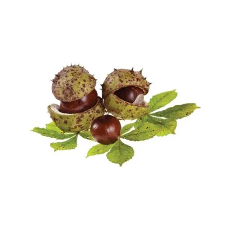 Kestane Reçeli 380g
